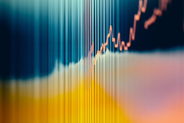Estratégias de gestão de património e diversificação de investimentos